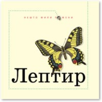 leptir ting moris 