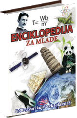 enciklopedija za mlade grupa autora 