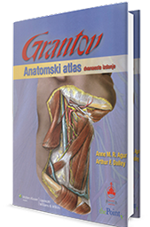 anatomski atlas grant grupa autora 