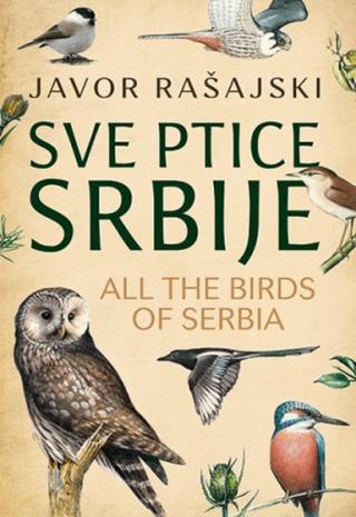 sve ptice srbije javor rašajski 