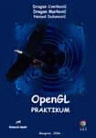 opengl nenad v dulanović dragan m cvetković dragan marković 