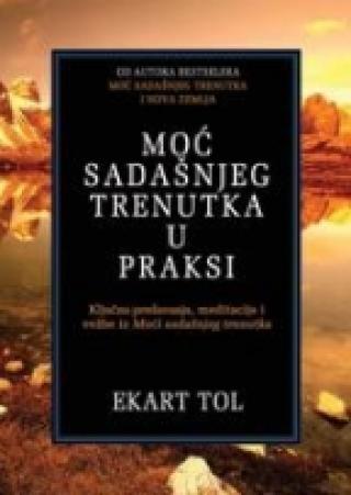 moć sadašnjeg trenutka u praksi ekart tol 