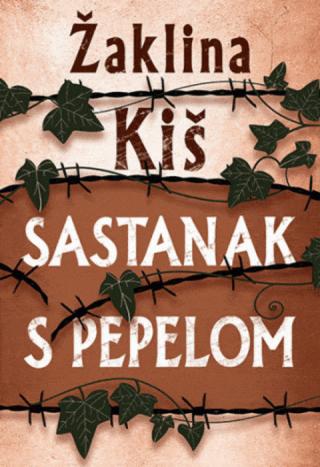 sastanak s pepelom žaklina kiš 