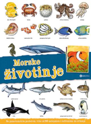 panorama morske životinje grupa autora 