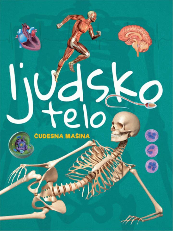 ljudsko telo 