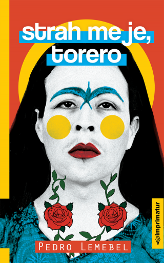 strah me je, torero pedro lemebel 