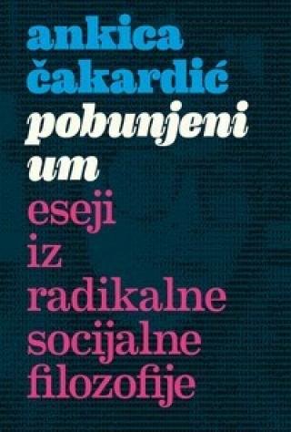 pobunjeni um eseji iz radikalne socijalne filozofije ankica čakardić 