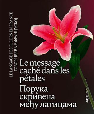 poruka skrivena među laticama le langage des fleurs en france dubravka savić 