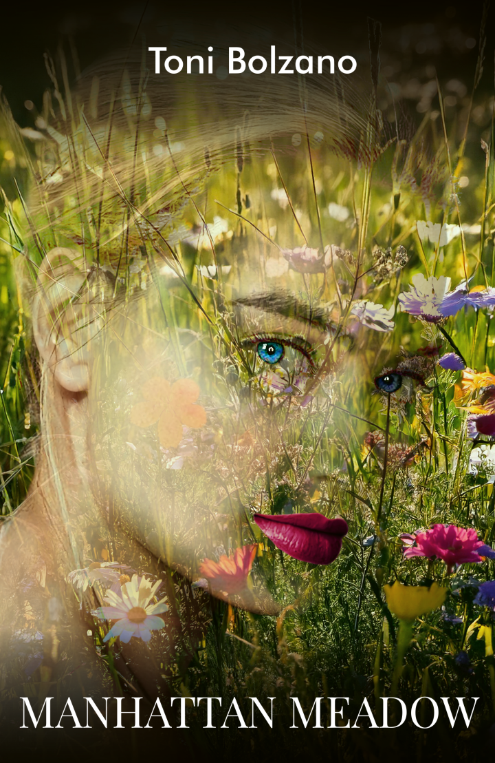 manhattan meadow 