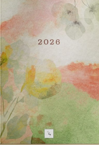 sandrotellingstories planer za 2026 sandro slavnić 