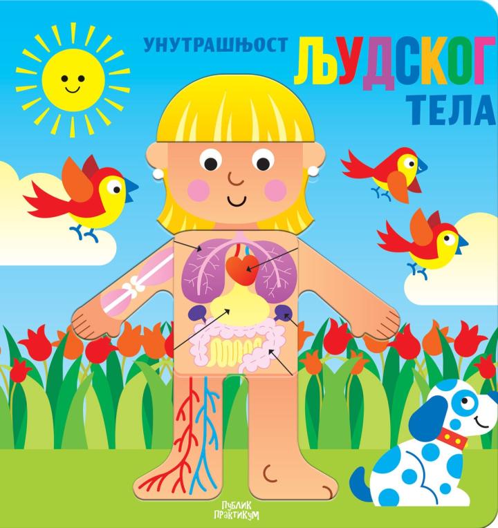 unutrašnjost ljudskog tela 