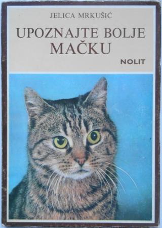 upoznajte bolje mačku  