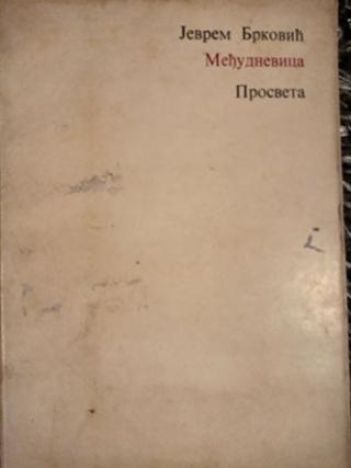 međudnevica  