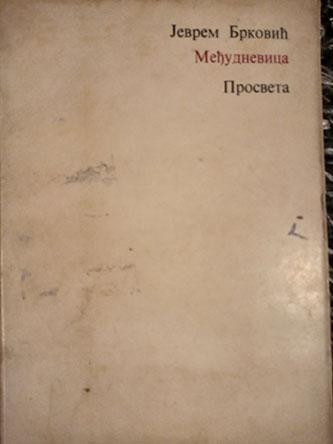 međudnevica 